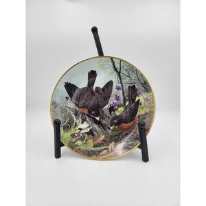 ROBIN HUNTING FOR FOOD Plate A. J. Rudisill National  Audubon Society Flowers